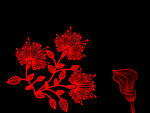 线条花纹
