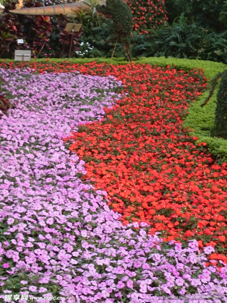 鲜花