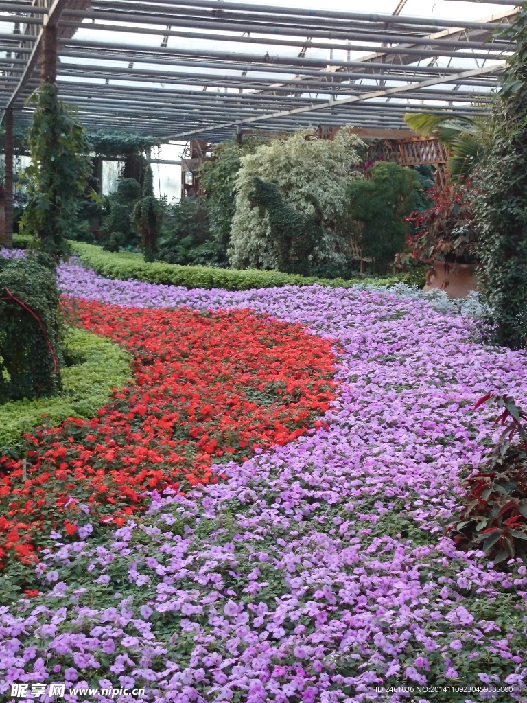 花河