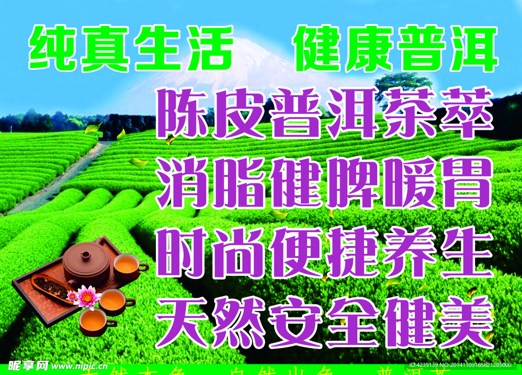 普洱茶