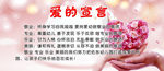 爱的宣言