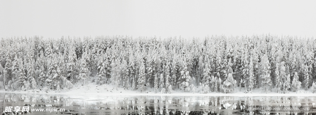 冬季雪景宽幅