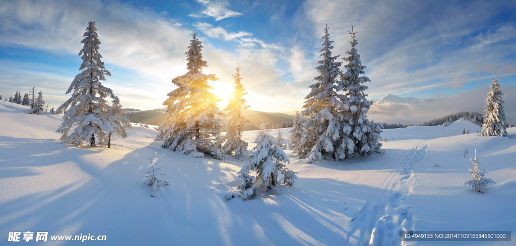 冬季雪景宽幅