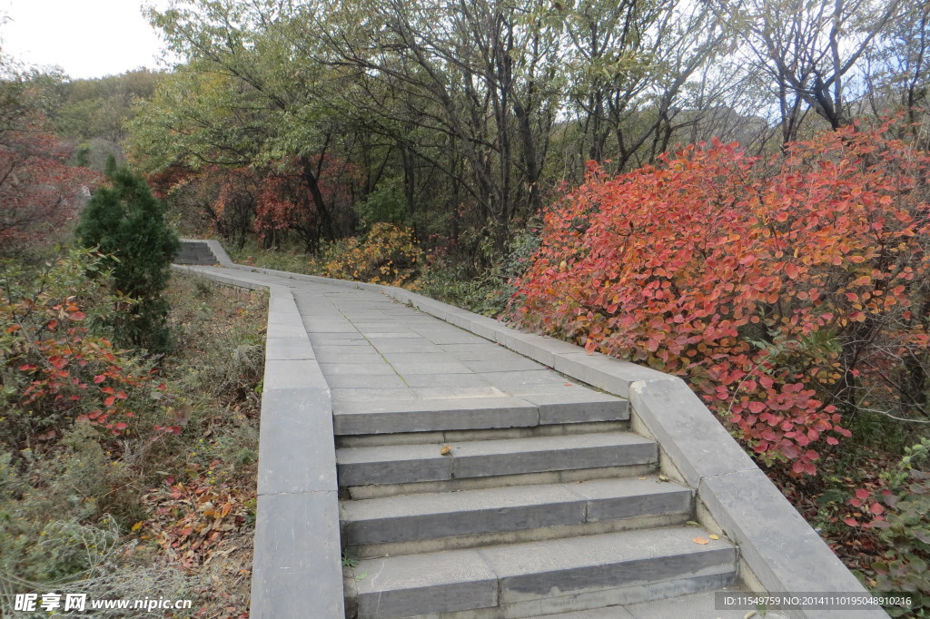 太室山秋景