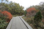 太室山登山步道