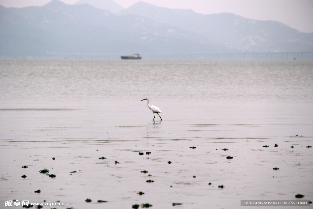 湖边
