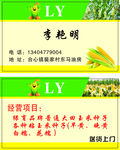玉米名片