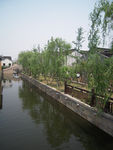 荡口风景