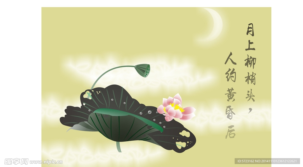 荷花