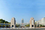 山东大学