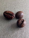 咖啡豆微距特写 咖啡
