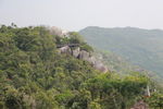 山景