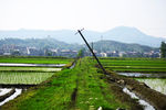 乡间小路