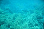 海底世界