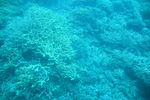 海底世界