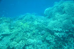 海底世界