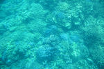 海底世界