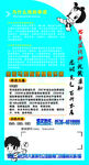 跆拳道宣传单页