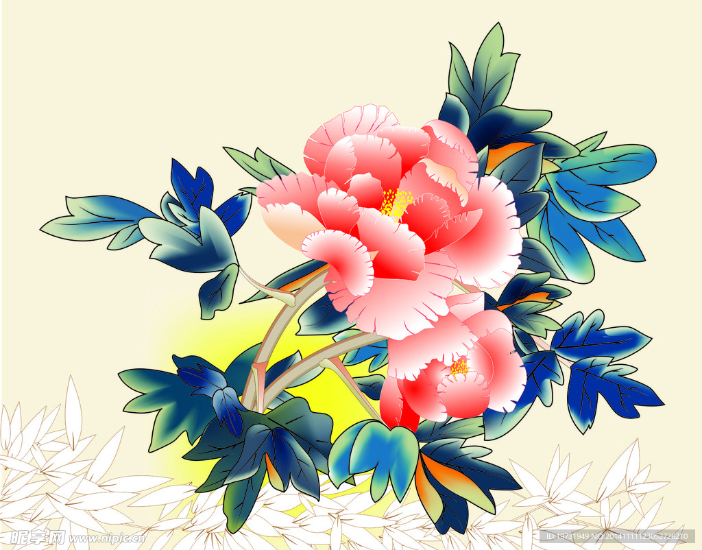 牡丹