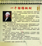 乔治·华盛顿    一千
