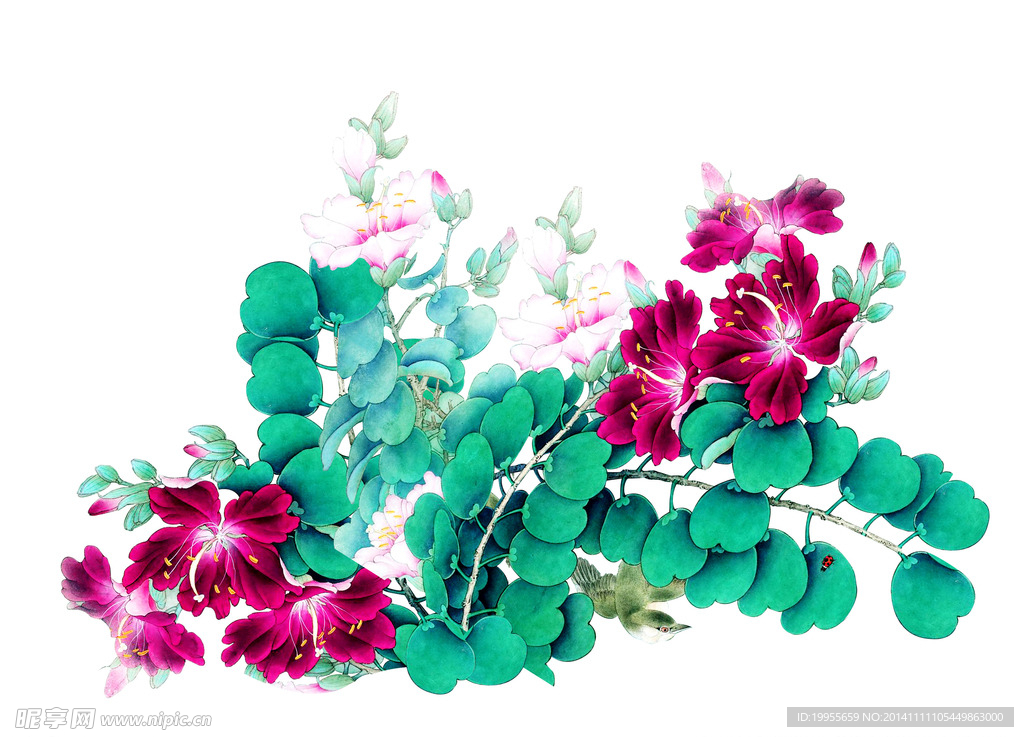 中国风  紫荆花 鸟