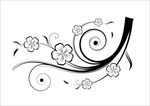 经典花纹