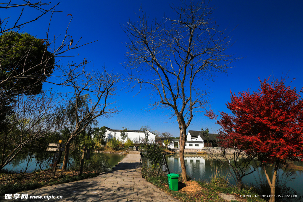 西溪湿地  洪园