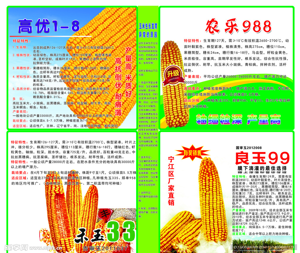 玉米种宣传单