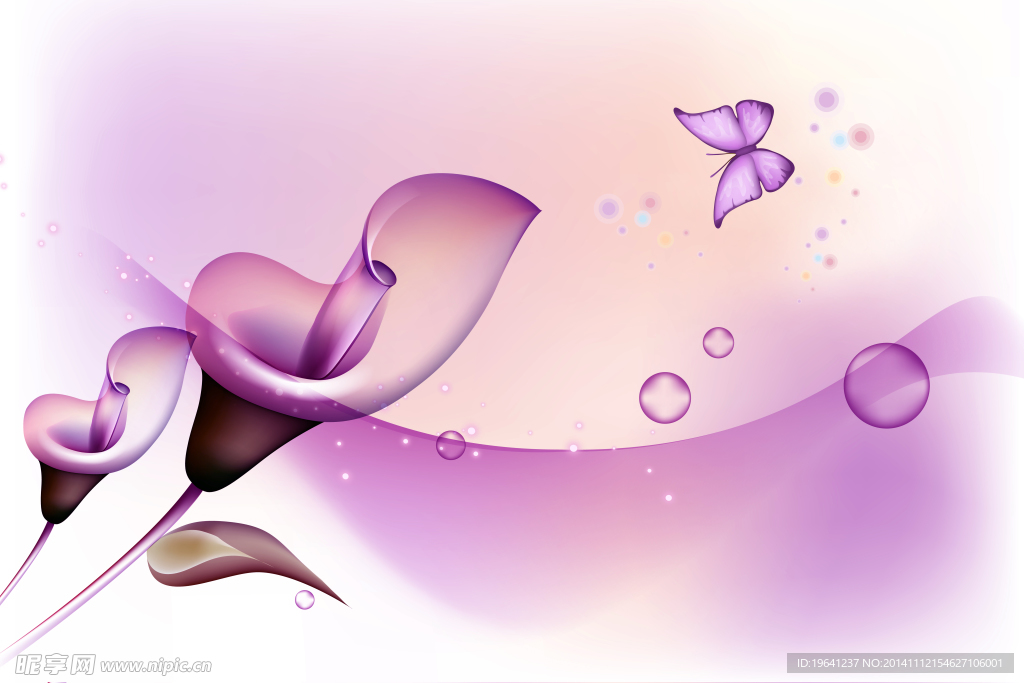 紫色马蹄莲图片