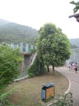 动物园风景