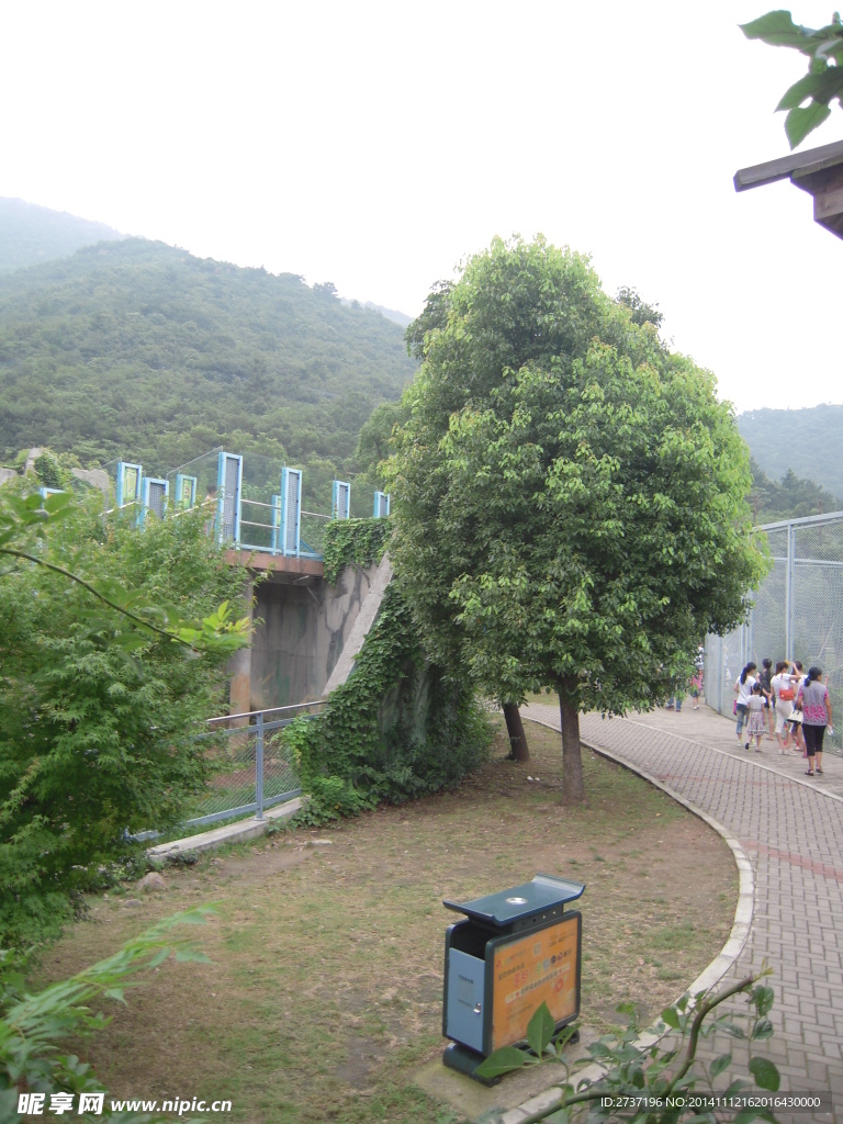 动物园风景