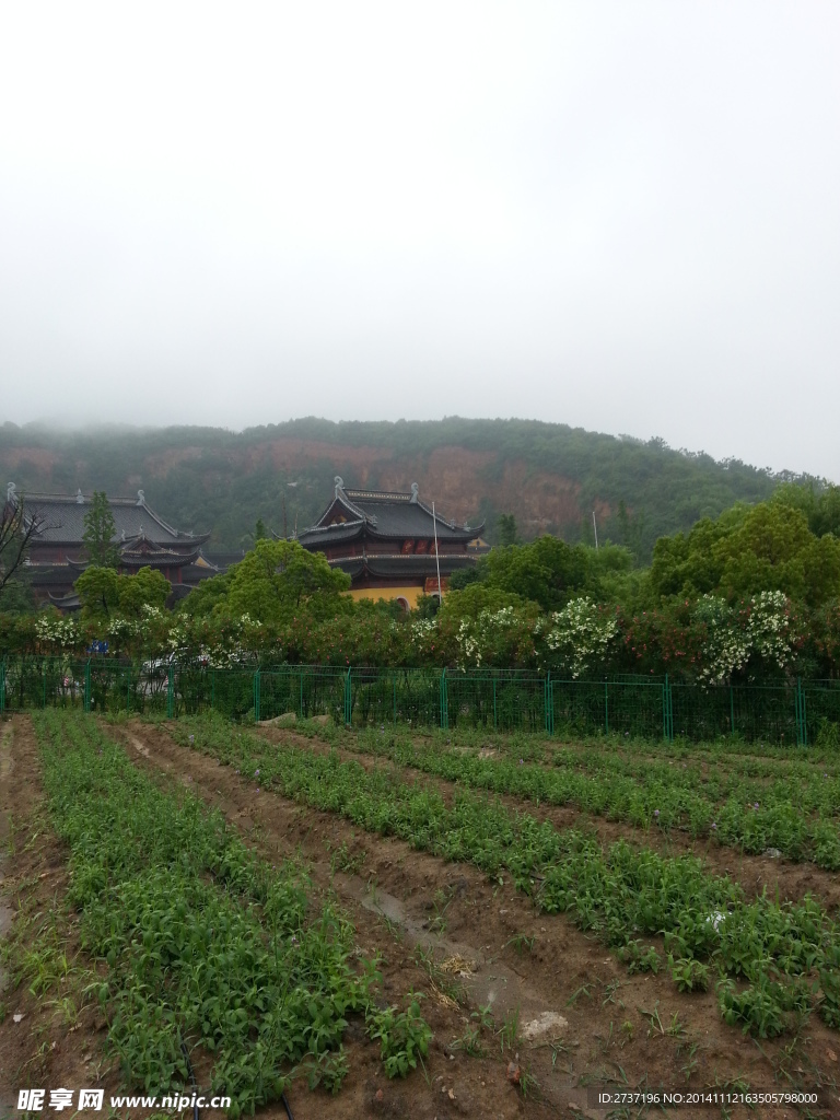 田园风景