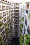 海南建筑