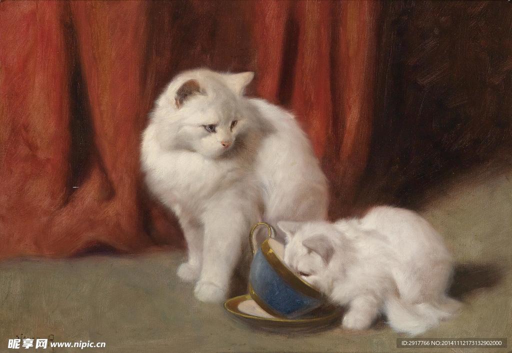 猫儿