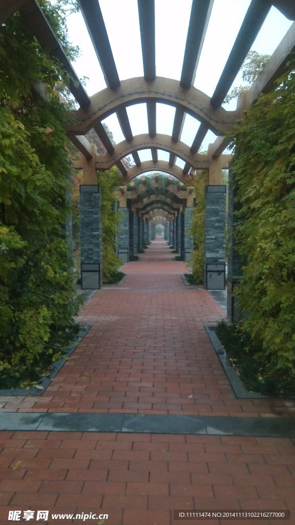 植物园