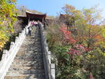 太室山  回廊