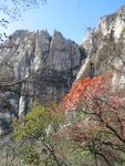 玉柱峰秋景