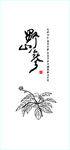 野山参