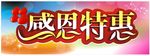 感恩特惠