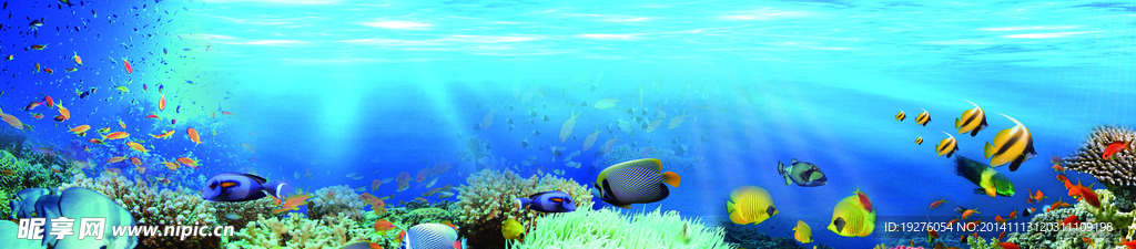 海底世界