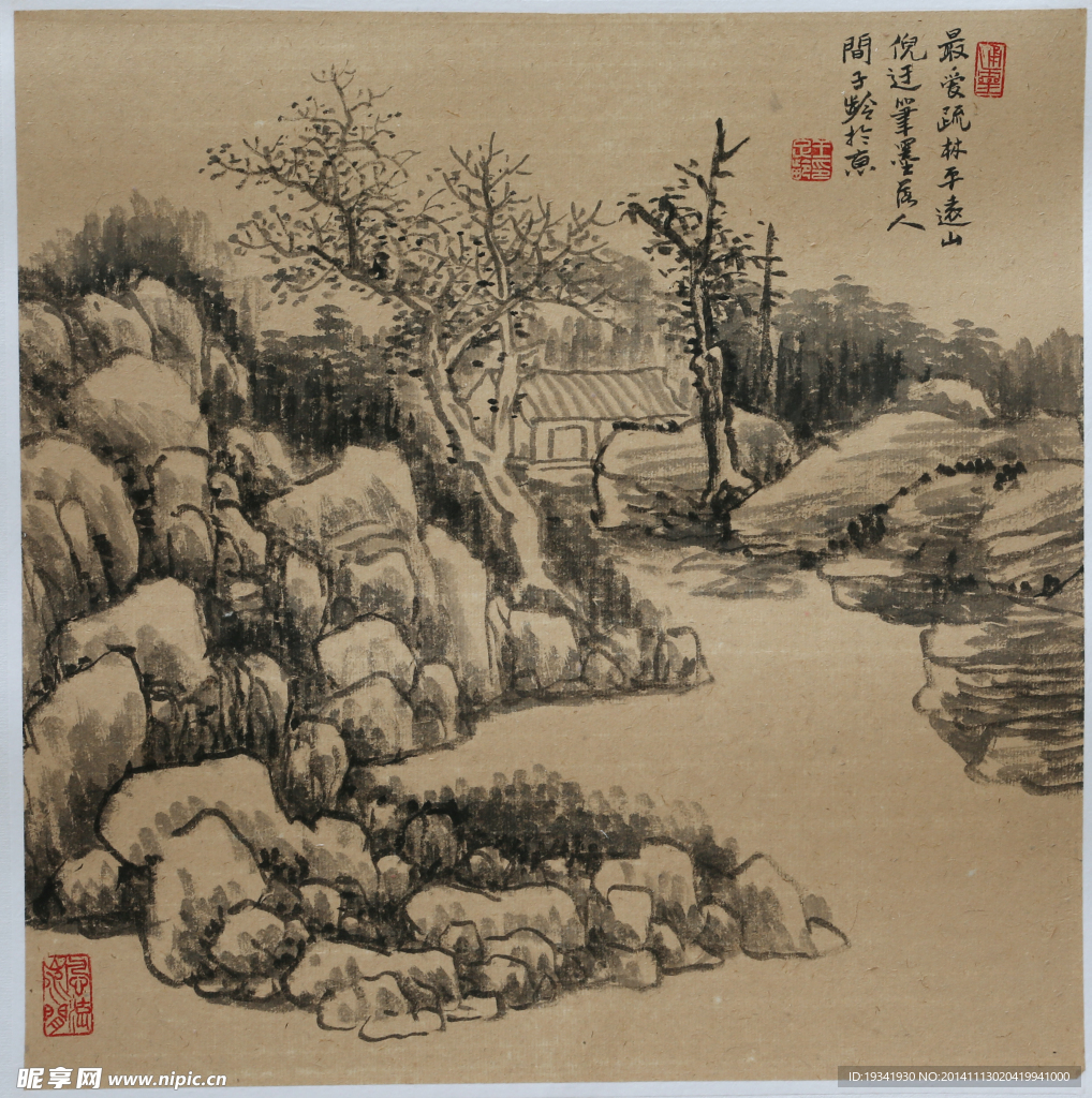 最爱疏林