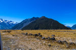 新西兰  库克山