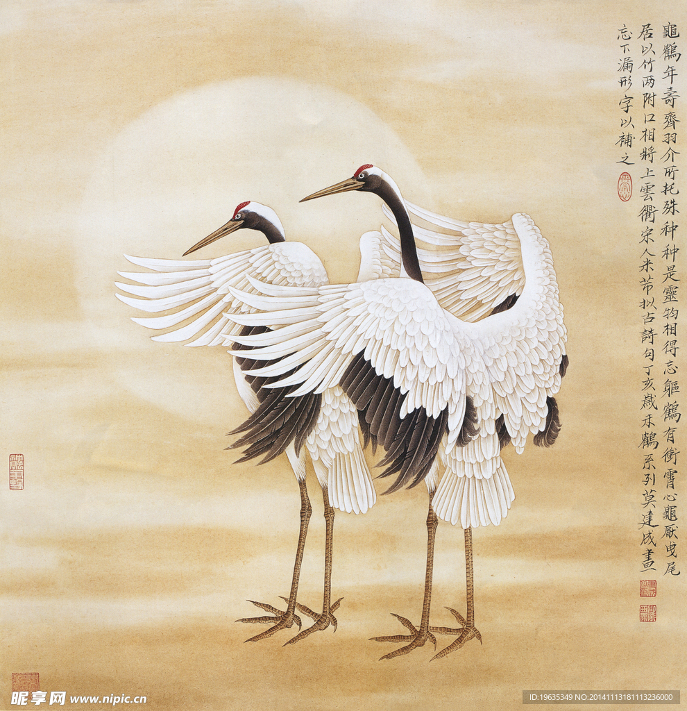 仙鹤 国画