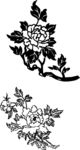 牡丹花简笔画