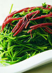 火丝豆苗
