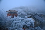 冬季泰山
