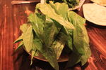 香麦 油麦菜