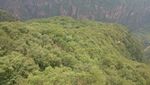 黛眉山