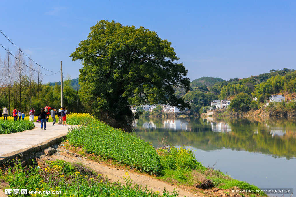 新安江山水画廊