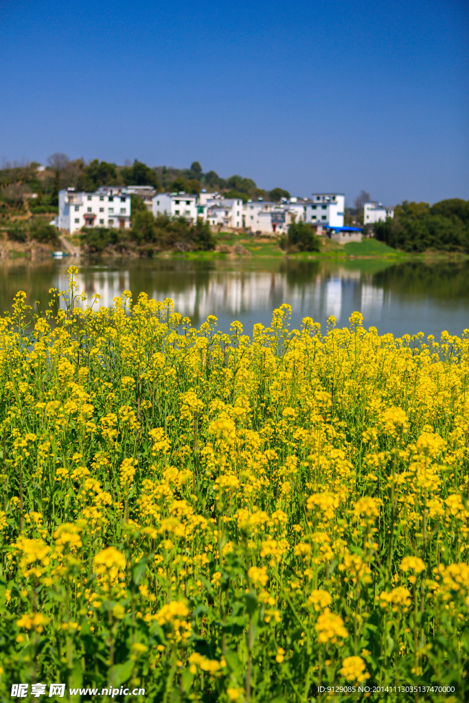 新安江山水画廊